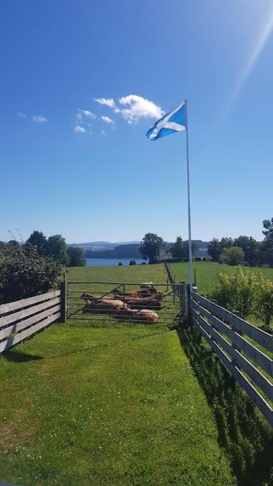 Cosy 2 Bedroom Croft Cottage With Beautiful Views North Kessock Екстер'єр фото