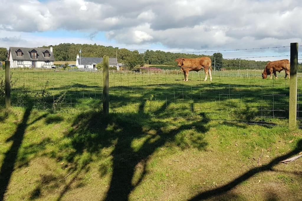 Cosy 2 Bedroom Croft Cottage With Beautiful Views North Kessock Екстер'єр фото